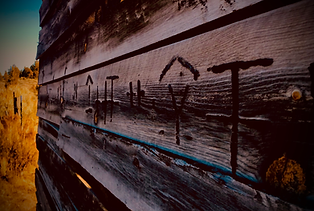 A53DDB75-C606-4915-9B23-E14F0D13B7D6_1_201_a.jpeg
