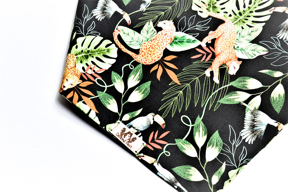 Thumbnail: Leopard & Toucan bandana