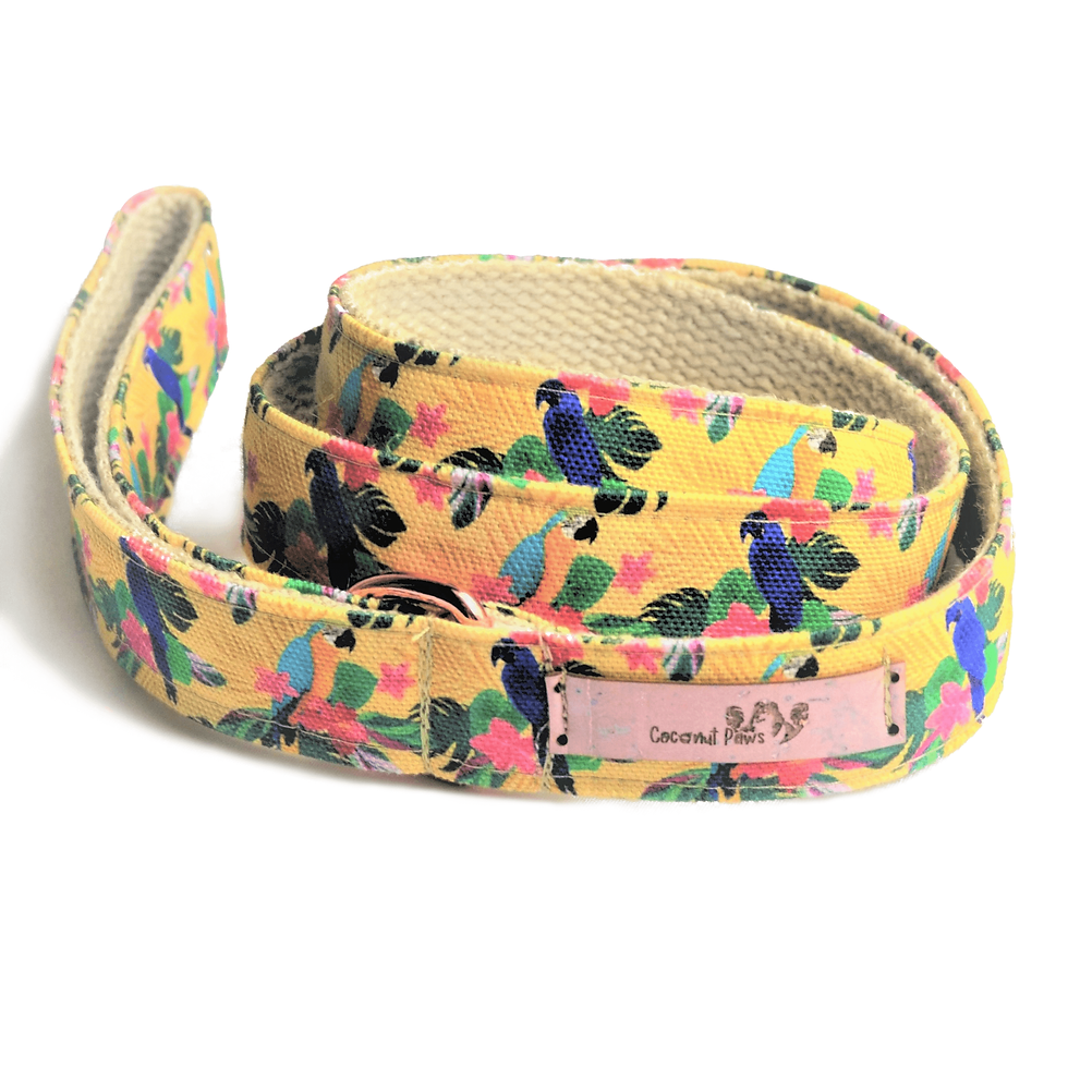 Thumbnail: Parrots Macaws Leash