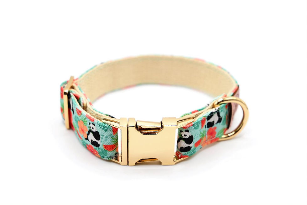 Thumbnail: Panda collar