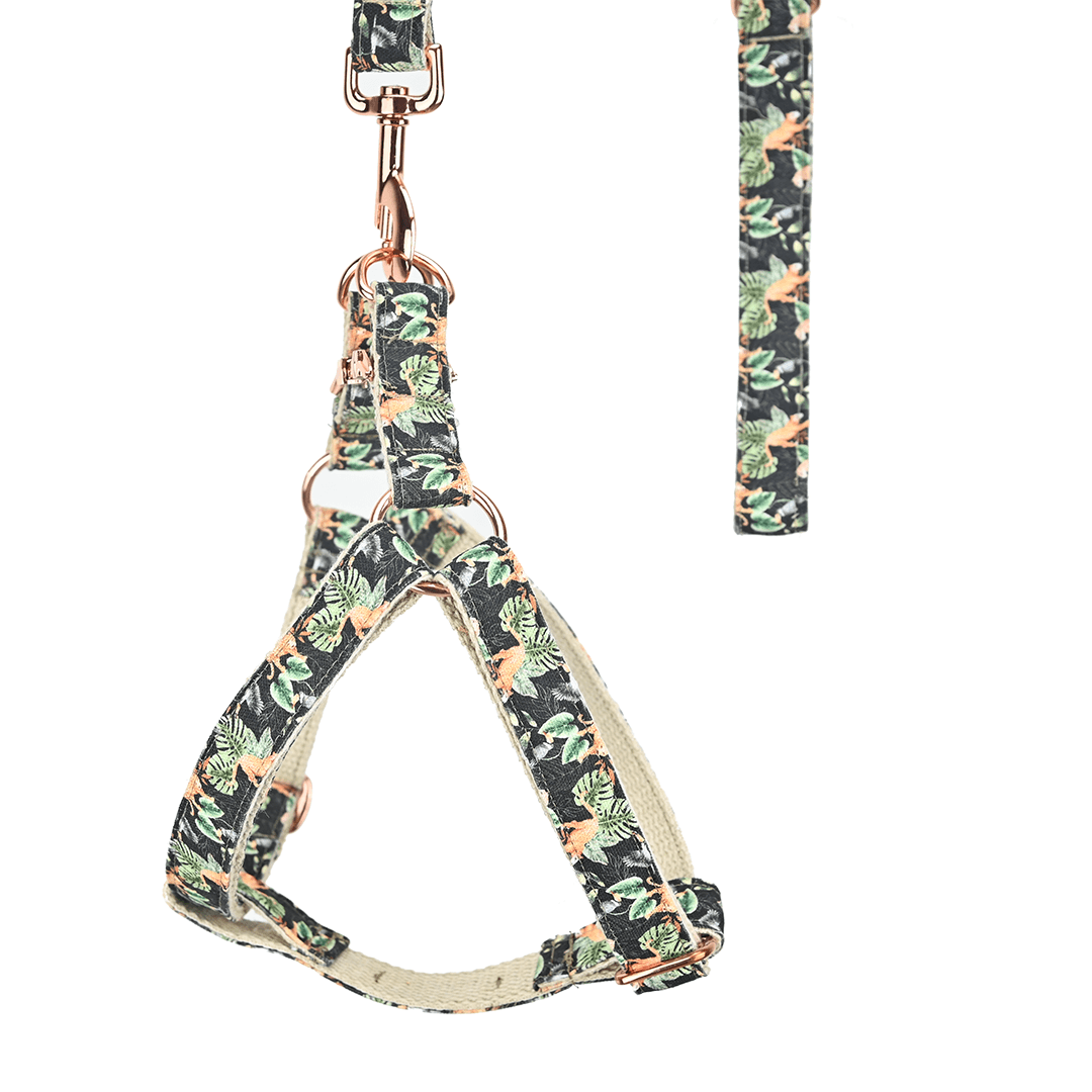 Leopard & Toucan Harness