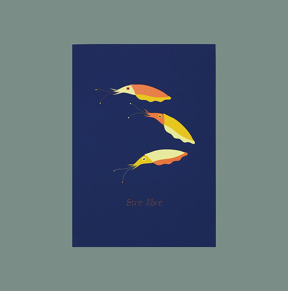 Miniature : Carte postale de face avec dessin de seiches