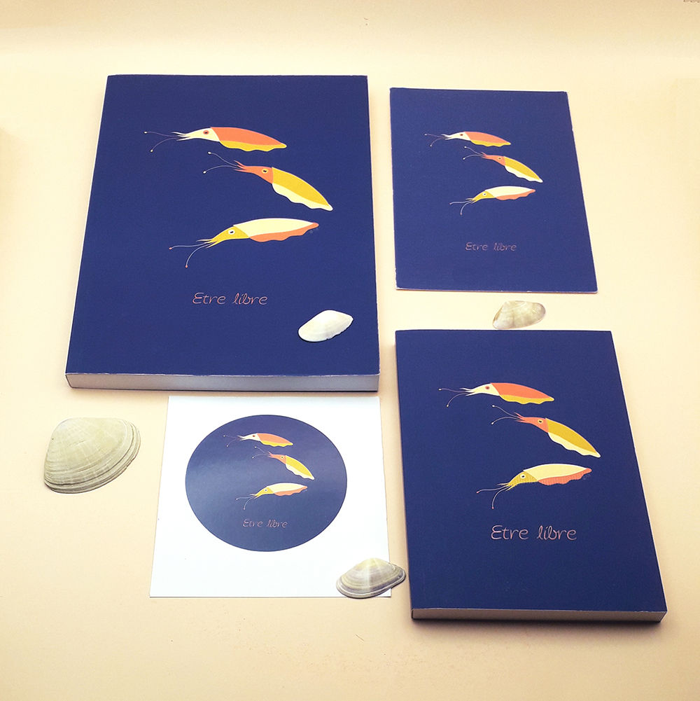 Boite en carton contenant 4 articles de Papeterie Design du dessin de trois seiches