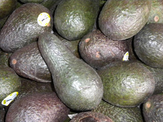Avocado
