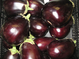Eggplant