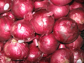 Purple Italian Onions