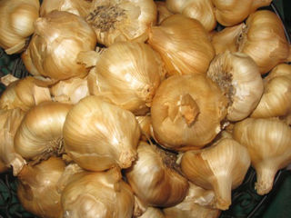 Smoked Garlic