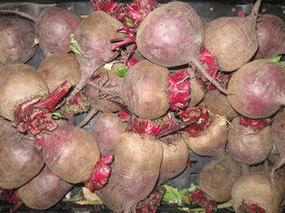 Canning Beets