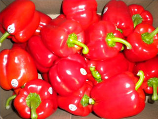 Red Bell Peppers