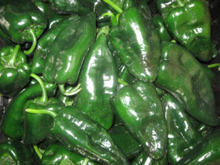 Pasilla Peppers
