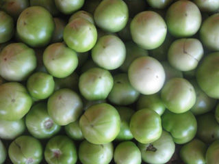 Green Tomatoes