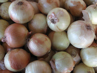 Candy Sweet Onions