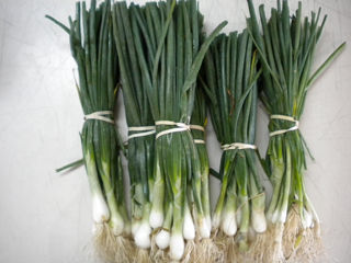 Salad Onions