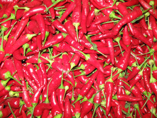 Fiery Fiesta Peppers