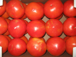 Beefsteak Tomatoes
