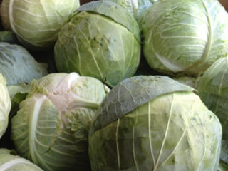 Kraut Cabbage
