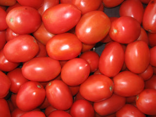 Roma Tomatoes