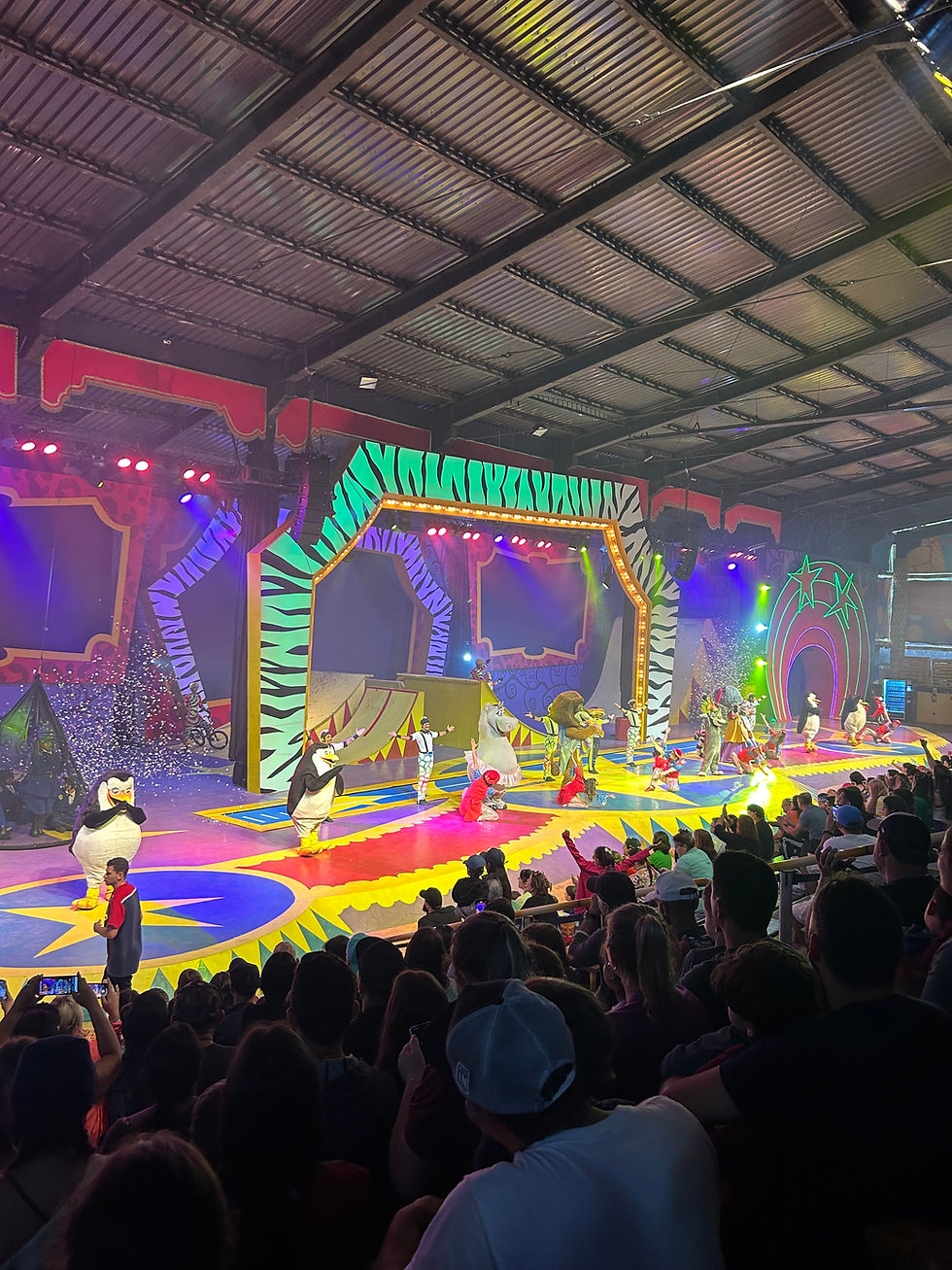 Espetáculo Madagascar Circus Show