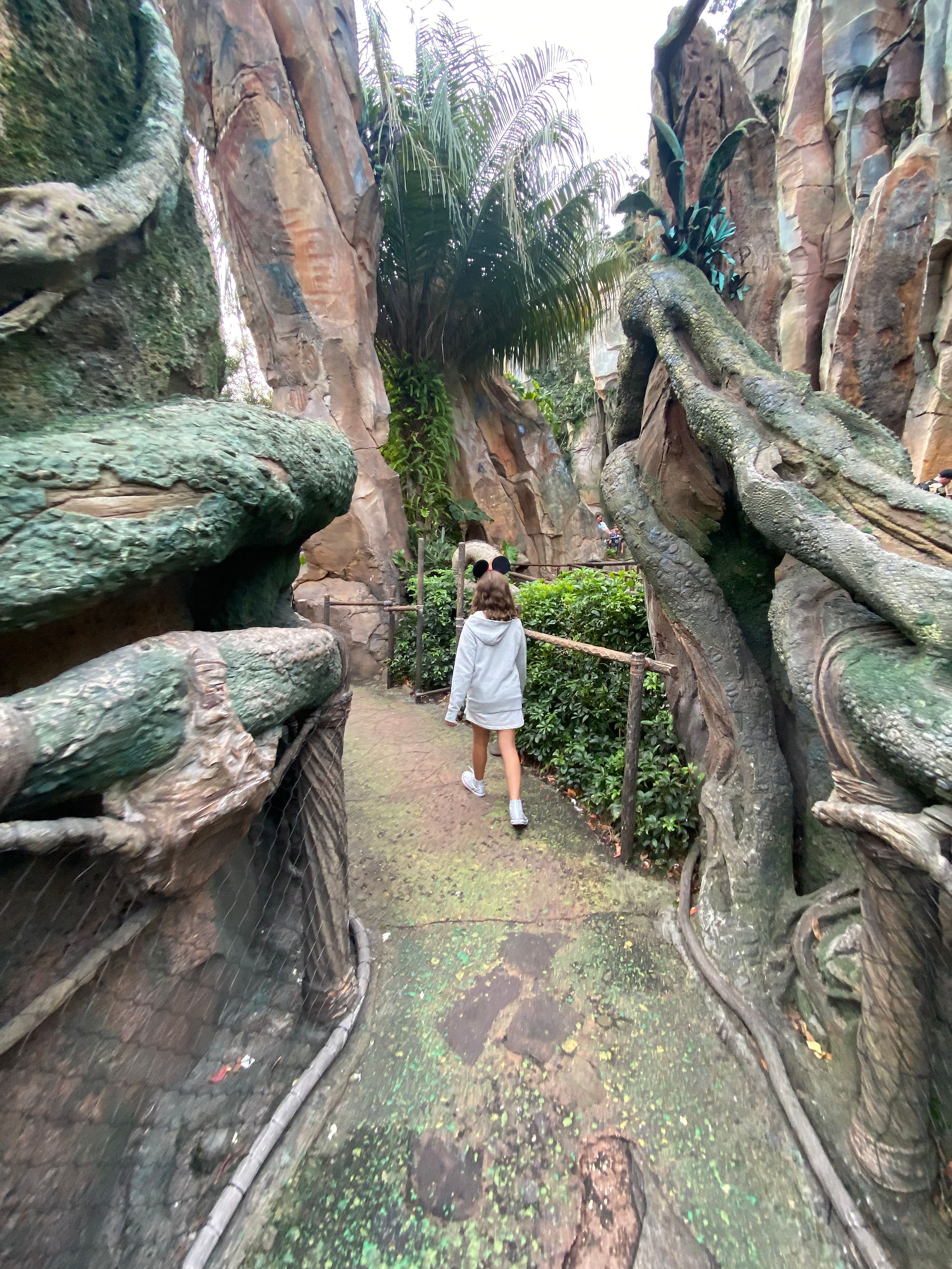 Fila do Simulador Avatar no Animal Kingdom