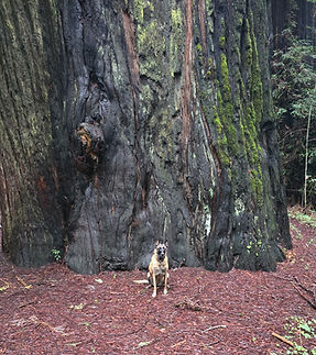 3065180913192448536 (1)_edited.jpg