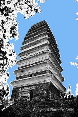 Pagode de l'oie sauvage (Xian)