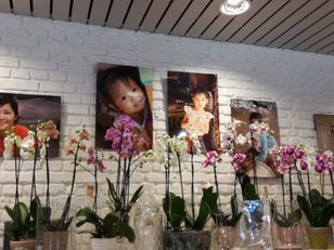 J'expose 12 photographies d'Asie du 15/09 au 20/10 chez le fleuriste Iris et Capucine à Sain
