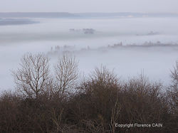 brume sur la Seine6