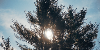 aaaa
