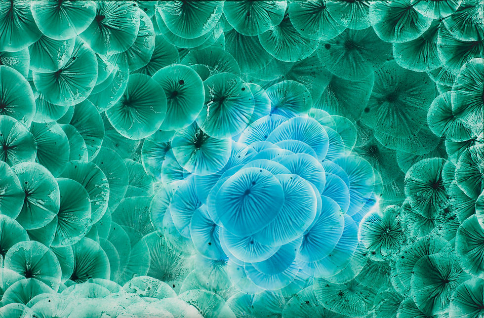 Aqua Emergent Verde   ( 12" x 18" )