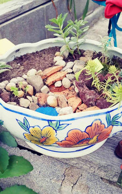 2022070895155724951_edited