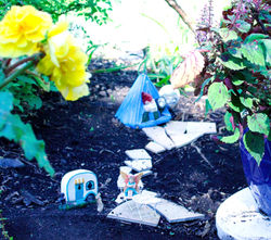 _MG_0634_edited_edited