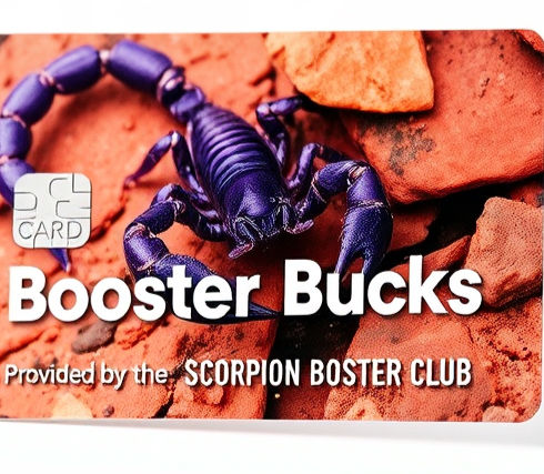 Create an image of a credit card that is standing in free white space with a slight shadow