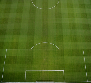 Sports Pitch (2).png