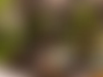 Violet Oon Singapore at ION Orchard Refreshes Menu with New & Favourites