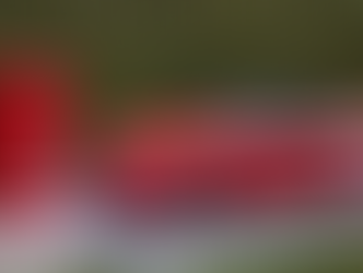 Porsche and Smeg Debut Limited Edition Design-Driven Kitchen Collection