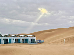 Discover Ningxia:  A Journey Through Wine, Nature and Culture