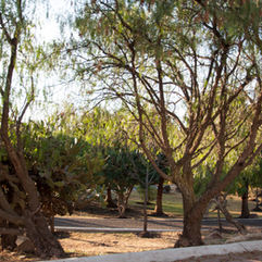 DSC_8177.jpg