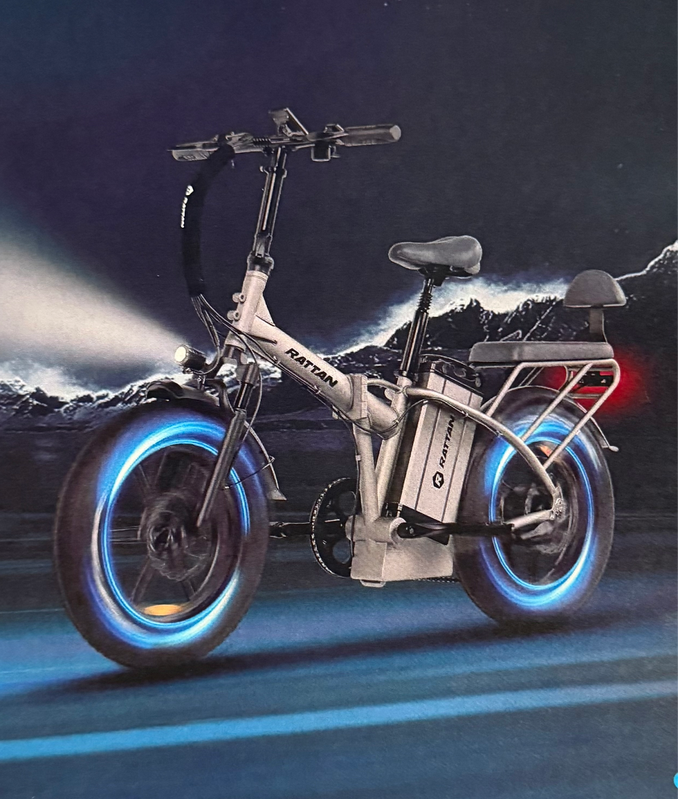 LM ULTRA Long Range Folding E-Bike