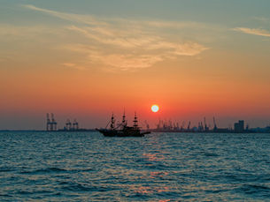 Optimize 2024 Container Shipping Costs: Rates & Services