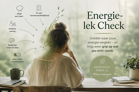 prent energie-lek check.png