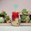 Thumbnail: Transparent Green Glass Shamrock Heart Acrylic Plant Stake