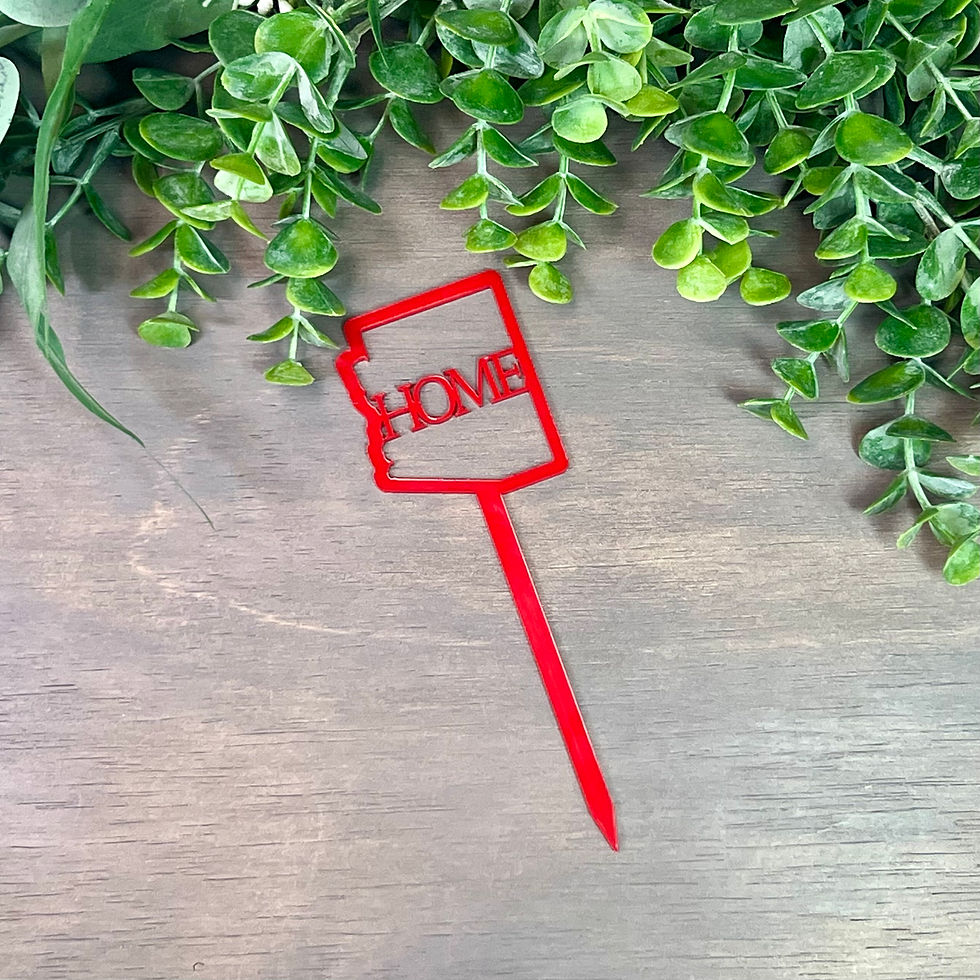 Arizona Is Home Acrylic Plant Stake (Red)