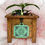 Thumbnail: To Water Or Not To Water Hanging Planter Box Sign (Pastel Green)