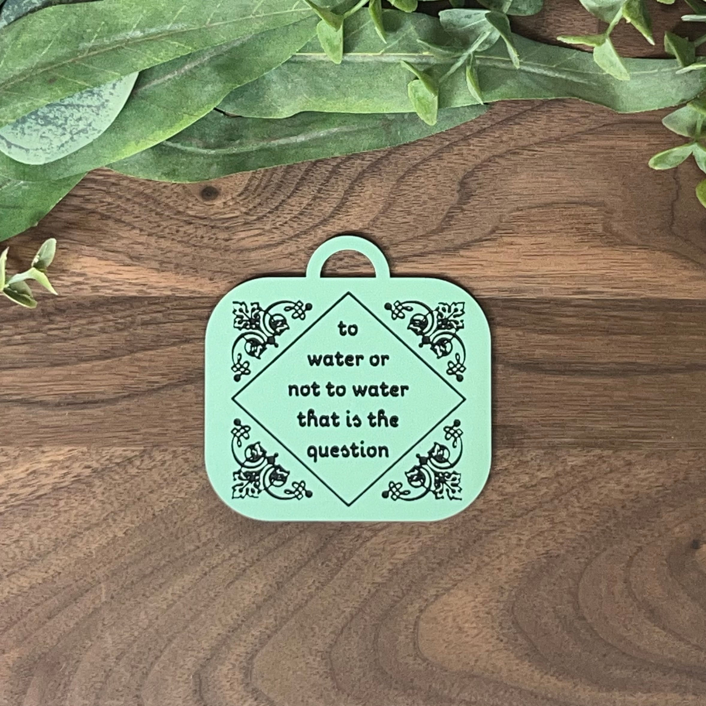 To Water Or Not To Water Hanging Planter Box Sign (Pastel Green)