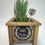 Thumbnail: Small Wooden Indoor Planter Box with Custom Watch Me Grow Sign