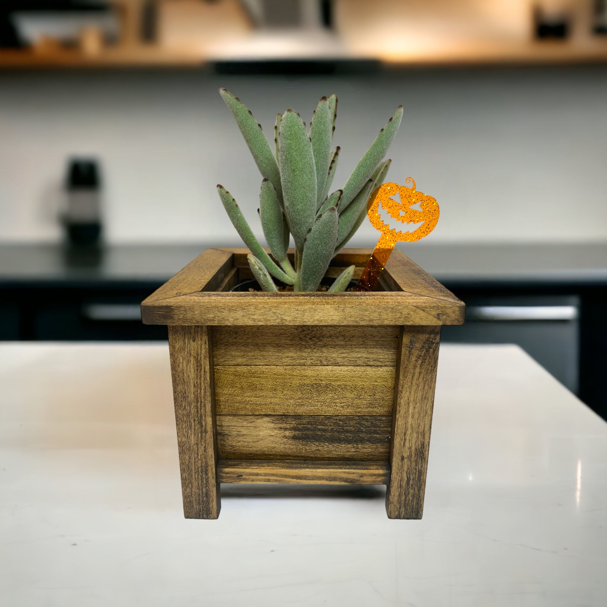 Jack O’ Lantern Plant Stake (Orange Glitter Jelly)