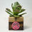 Thumbnail: Love Birds Hanging Planter Box Sign (Pastel Pink & Hearts Acrylic)