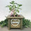 Thumbnail: Hummingbird Acrylic Plant Stake (Pink Glitter)
