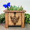 Thumbnail: Floral Cow Skull Hanging Sign For Small Planter Box (White/Black)