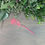 Thumbnail: Decorative Daisy Acrylic Plant Stake (Pastel Pink)